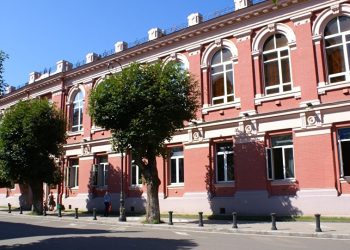 საკონსტიტუციო სასამართლოს გადაწყვეტილებით, პირადი მოხმარების მიზნით, 10 გრამამდე გამომშრალი მარიხუანის შემოტანა თავისუფლების აღკვეთით აღარ დაისჯება