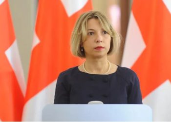 ნინო ლომჯარია – სააკაშვილი საჭიროებს როგორც ფსიქოლოგიურ, ასევე ფიზიკურ რეაბილიტაციას, მაგრამ ამ ეტაპისთვის ეს სერვისები არ მიეწოდება