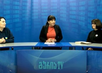 “ეს ქვეყანა შენია” – პანდემია და საზოგადოებრივი ორგანიზაციები