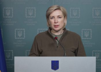 უკრაინის ვიცეპრემიერი – ვერ ვიჯერებ, რომ ქართველები დაუშვებთ, იარაღი კონტრაბანდის გზით შევიდეს რუსეთში