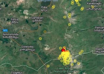 საქართველოში მიწისძვრა მოხდა