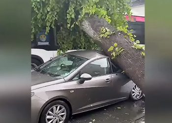 ვიდეო – გერმანიაში ტორნადოს შედეგად 40-ზე მეტი ადამიანი დაშავდა