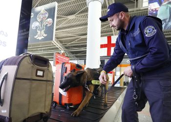 თბილისის აეროპორტში ერთ-ერთ მგზავრს ნახევარი კგ მარიხუანა აღმოუჩინეს