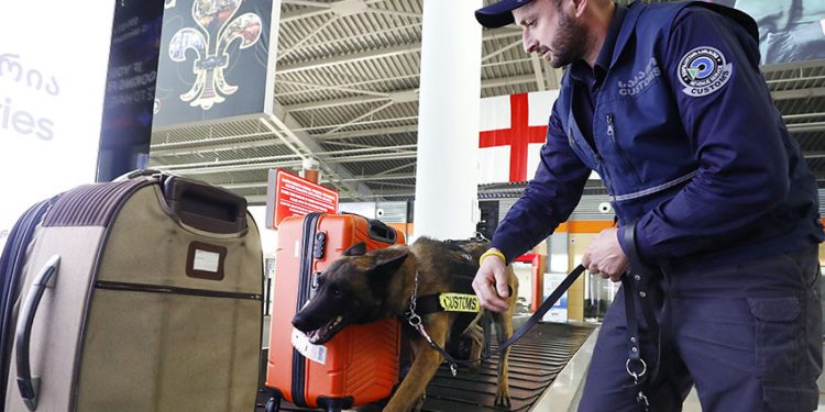 თბილისის აეროპორტში ერთ-ერთ მგზავრს ნახევარი კგ მარიხუანა აღმოუჩინეს