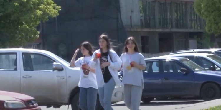 ოზურგეთელი ახალგაზრდები, მათი საჭიროებები და ახალგაზრდული პროექტები