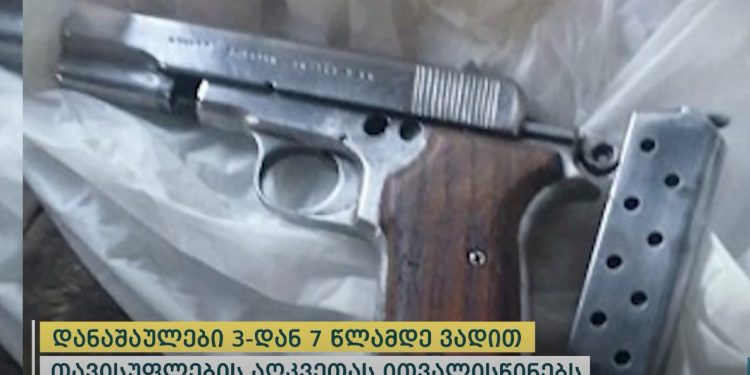 პოლიციამ გურიასა და საქართველოს რეგიონებში უკანონო ცეცხლსასროლი იარაღები და საბრძოლო მასალა ამოიღო