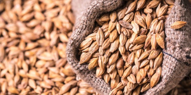 სომხეთმა ხორბლის, წიწიბურის, სიმინდის, ქერისა და მსეზუმზირას თესლის ექსპორტი აკრძალა