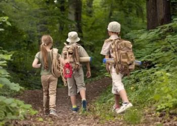 მოსწავლეებს ექსკურსიაზე ღამისთევით წასვლა ეკრძალებათ, ლოკაცია კი სკოლიდან 150 კმ-ს არ უნდა აღემატებოდეს