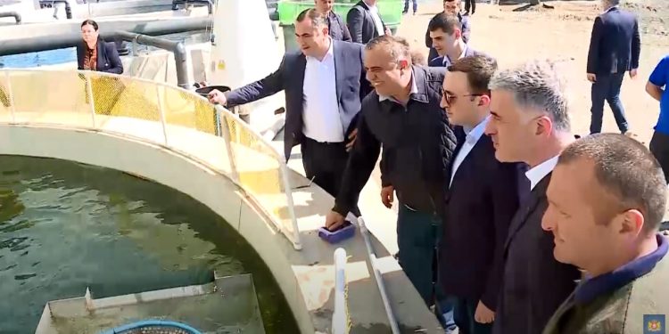 ირაკლი ღარიბაშვილმა გრიგოლეთში ორაგულის მეურნეობა “გურია ფიშ ფარმინგი” დაათვალიერა