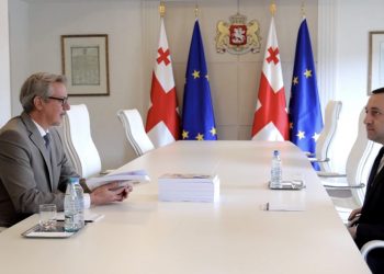 ღარიბაშვილმა ევროკავშირის ელჩს კითხვარის მეორე ნაწილიც გადასცა