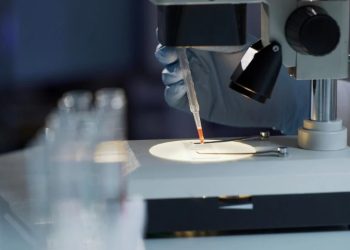 “მაიმუნის ყვავილი” – ევროპაში ახალი დაავადების გავრცელების გამო ჯანმო საგანგებო სხდომას იწვევს