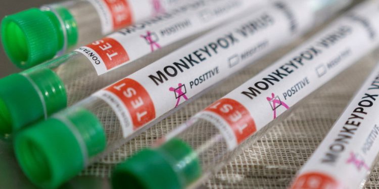 მოსალოდნელია თუ არა მაიმუნის ყვავილის გამო სამოგზაურო შეზღუდვები?