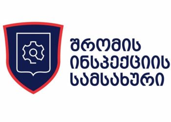 შრომის ინსპექციის სამსახურმა 15 წლის ბიჭის იძულებითი შრომის ფაქტი გამოავლინა