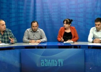 “ეს ქვეყანა შენია” – ოზურგეთის საკრებულო – მისი არსი, ფუნქცია, რეალური სახე