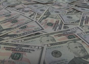 ყალბი ფულის გასაღების ბრალდებით ერთი პირი დააკავეს