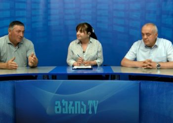 “ეს ქვეყანა შენია” – ჩაის განვითარების პერსპექტივები და არასამთავრობო სექტორის ჩართულობა