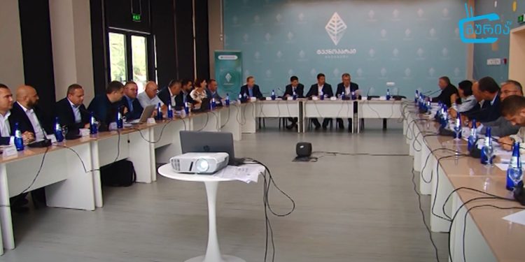 პარლამენტის რეგიონული პილიტიკისა და თვითმმართველობის კომიტეტის გასვლითი სხდომა გურიაში