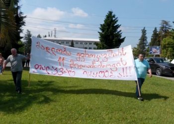 “მადლობა ევროკავშირს 11 მილიონისთვის – თალაკვაძე იტყუება” – ნაციონალური მოძრაობის აქცია ოზურგეთში