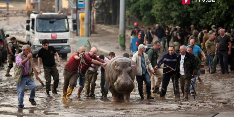 13 ივნისის ტრაგედიიდან შვიდი წელი გავიდა