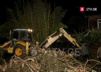 სენაკში ძლიერმა წვიმამ პრობლემები შემქნა