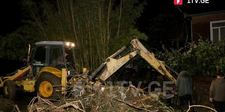 სენაკში ძლიერმა წვიმამ პრობლემები შემქნა