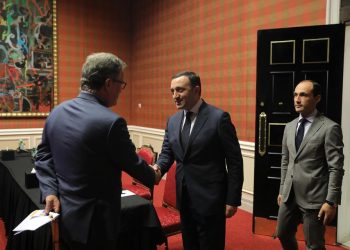 ირაკლი ღარიბაშვილი კომპანია „ვიტოლის“ აღმასრულებელ დირექტორს შეხვდა