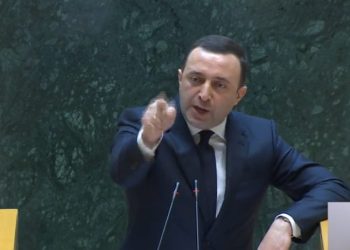 “იცნობდეთ ქვეყნის მოღალატეს” – ღარიბაშვილმა სალომე სამადაშვილი მოღალატედ გამოაცხადა