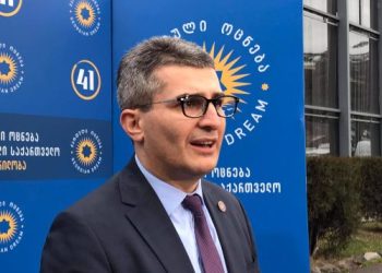მდინარაძე: ხანდახან მართლა რაღაცას რომ აფუჭებდეს ხელისუფლება, ამაზე უნდა დახუჭო თვალი