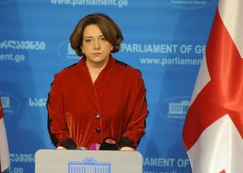 სალომე სამადაშვილი ირაკლი ღარიბაშვილს და ირაკლი კობახიძეს სასამართლოში უჩივლებს