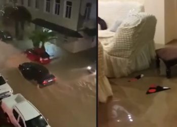 სტიქია სენაკში – დატბორილია საცხოვრებელი სახლები