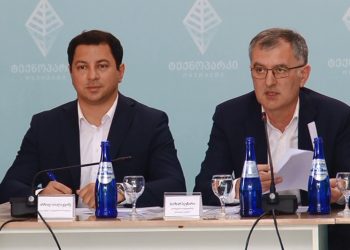 არჩილ თალაკვაძის და სოზარ სუბარის კომენტარები კანდიდატის სტატუსის არმინიჭებასთან დაკავშირებით