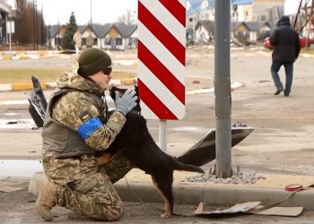 გურიის ახალი ამბები – 03.06.2022
