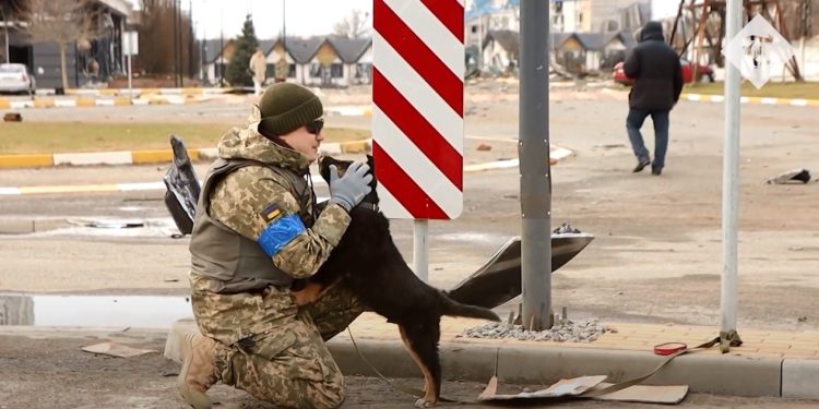 გურიის ახალი ამბები – 03.06.2022
