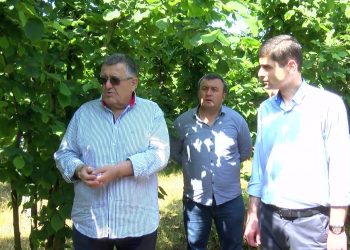 გიორგი ხანიშვილი – საქართველოს აქვს პოტენციალი მსოფლიო ბაზარზე დაიმკვიდროს მნიშვნელოვანი ადგილი, როგორც თხილის ექსპორტიორმა