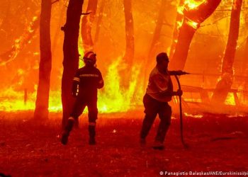 საბერძნეთში, კუნძულ ლესბოსზე და დადიას ეროვნულ პარკში ხანძარს ებრძვიან