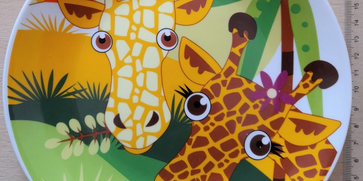 სეს – საქართველოში კერამიკულ ჭურჭელში ტყვიის აღმოჩენის გამო, იმპორტიორს პროდუქციის ამოღება დაევალა