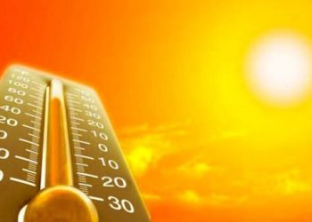 NCDC-ის რეკომენდაციები ზაფხულის ცხელი დღეებისთვის