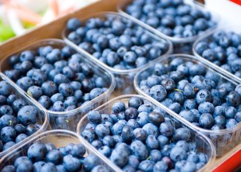 რატომ განახევრდა მოცვის ღირებულება ადგილობრივ ბაზარზე – „ფასების ვარდნა მომავალ წლებშიც გაგრძელდება“