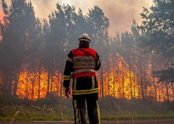 ევროპაში ძლიერი სიცხით გამოწვეულ ხანძრებს ებრძვიან