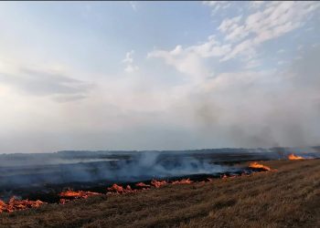 სახელმწიფო „მიწების დამწველებს“ აფრთხილებს