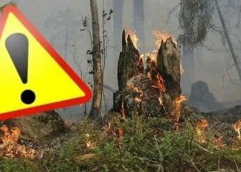 გარემოს დაცვის სამინისტრო – მოვუწოდებთ მოსახლეობას, ტყეში კოცონის დანთებისას უსაფრთხოების წესები დაიცვან