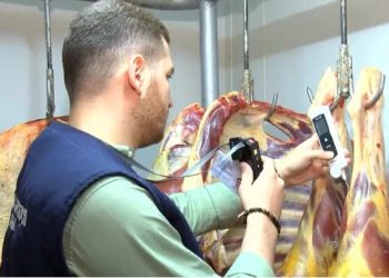 სურსათის ეროვნულმა სააგენტომ თბილისში 600 კილოგრამამდე ხორცი დალუქა