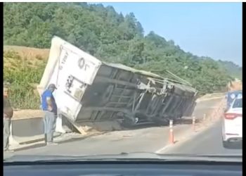 ვიდეო – რიკოთზე ტრაილერი ამობრუნდა