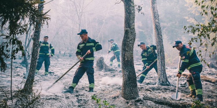 შსს – ბორჯომის ხეობაში ხანძრის ძირითადი კერები ლიკვიდირებულია