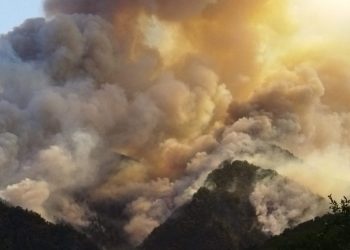 რთული კლიმატური პირობების გამო ბორჯომში ხანძრის ქრობის სამუშაოები გართულებულია