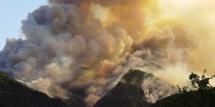 რთული კლიმატური პირობების გამო ბორჯომში ხანძრის ქრობის სამუშაოები გართულებულია