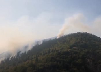 ვიდეო – ბორჯომის მუნიციპალიტეტიდან ცეცხლი ახალციხის მიმართულებით გავრცელდა