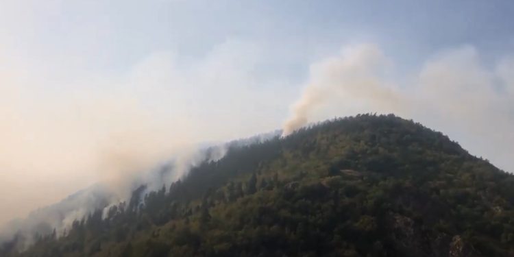 ვიდეო – ბორჯომის მუნიციპალიტეტიდან ცეცხლი ახალციხის მიმართულებით გავრცელდა