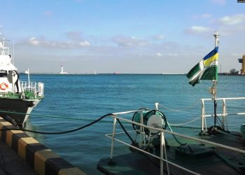 უკრაინის პორტებიდან სიმინდით დატვირთული სამი გემი გავიდა