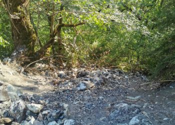 მსხვერპლით დასრულდა ავტოსაგზაო შემთხვევას ბორჯომში